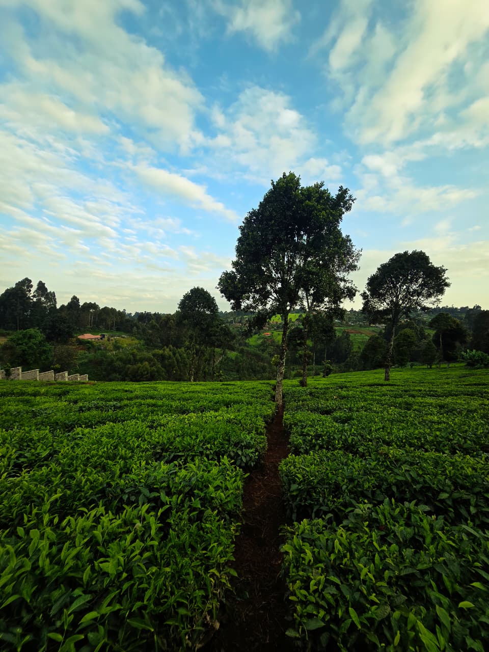 9 Acres